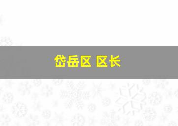 岱岳区 区长